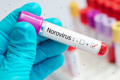 What is Norovirus?