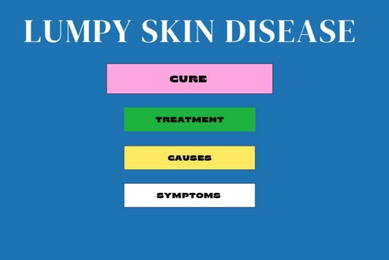 Lumpy Skin Disease