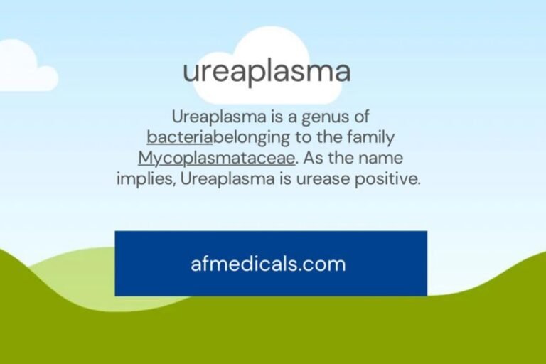 Ureaplasma