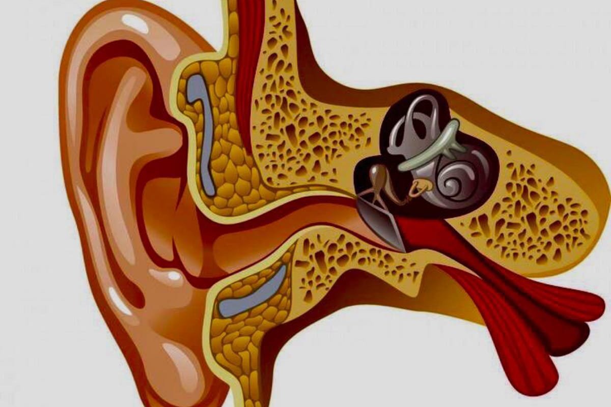 Earwax Blockage